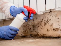 Mold Remediation for Vacation Homes in Olympia, SC